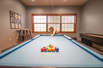 Billiards Table at Campus Park, Duluth, MN, 55811